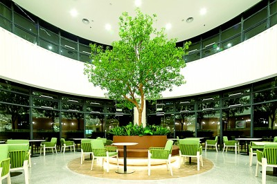     深圳光明社会福利院。受访单位供图