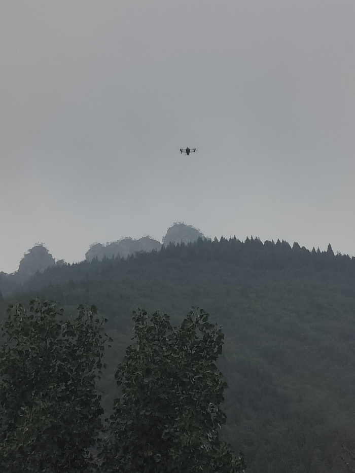 林州飞播造林作业现场。