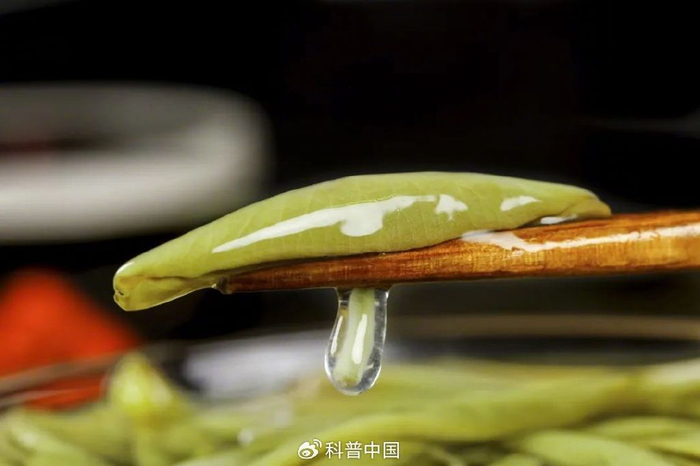 图库版权图片，转载使用可能引发版权纠纷