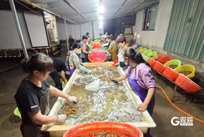 工人们在连夜分拣竹节虾。