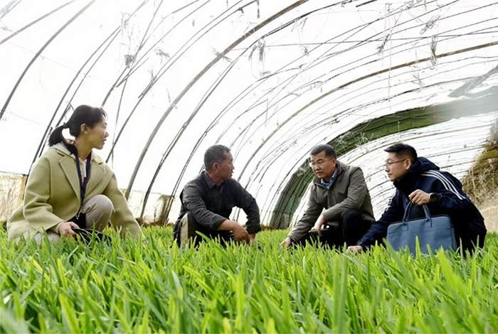 张掖市山丹县纪委监委紧盯惠民惠农政策落实情况，把监督“探头”延伸到田间地头。（资料图）新甘肃•甘肃日报通讯员 孙彩霞 摄