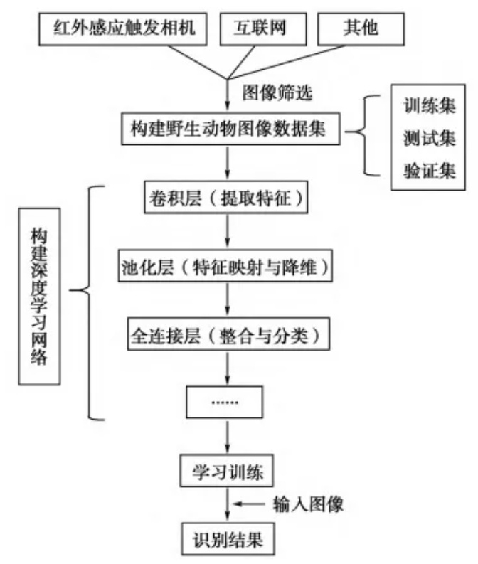 通过 CNN 进行动物识别简化流程图 图片来源：李勃绘制