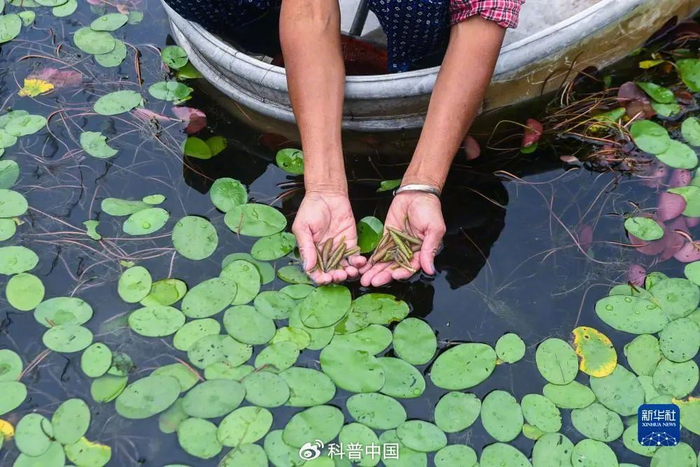 图源：新华社记者 徐昱 摄