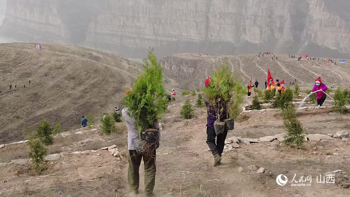 昔日种树场景。受访者供图