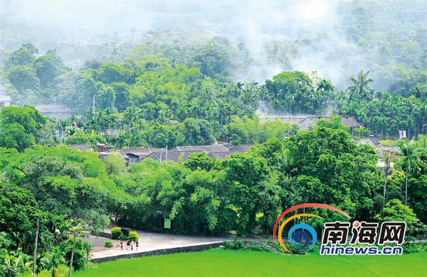 皇坡村。海南日报记者 王凯 摄
