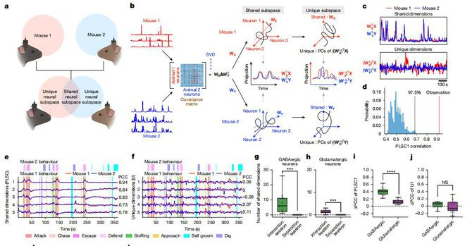 （来源：Nature）