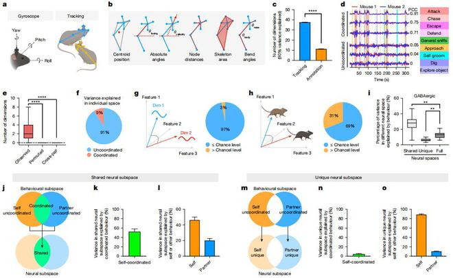 （来源：Nature）