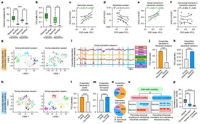 （来源：Nature）