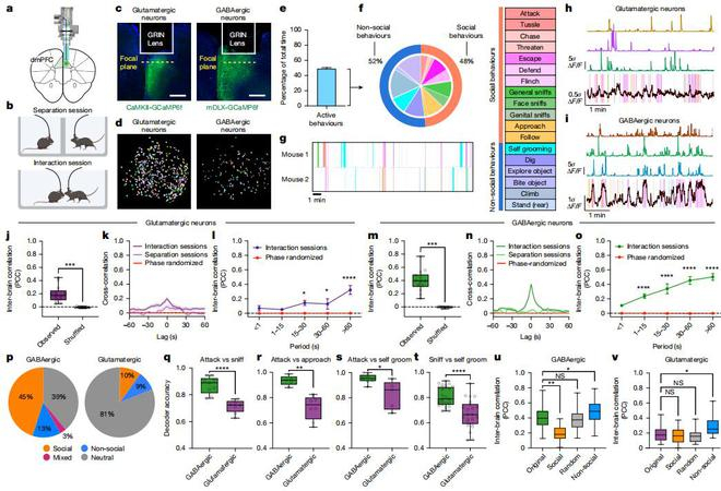 （来源：Nature）