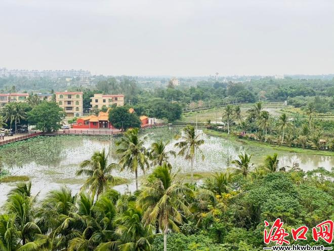 芳园国际艺术村的热带田园风光。罗薇薇 摄