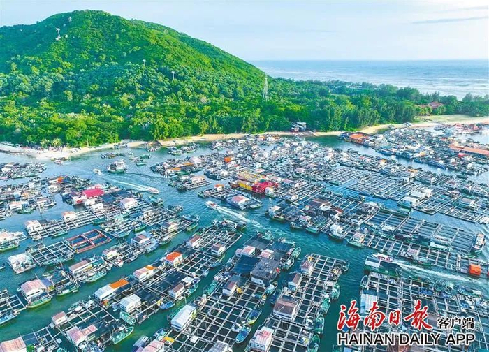 陵水新村镇疍家渔村。海南日报记者 王程龙 摄