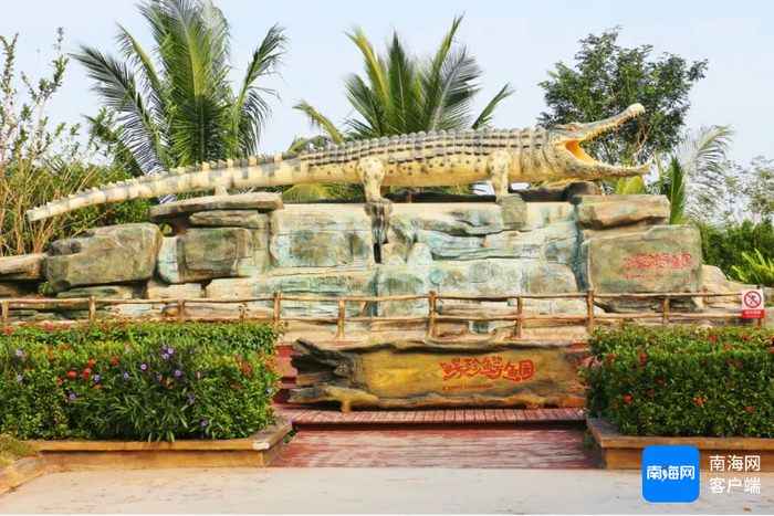 鳄珍鳄鱼产业园。东方融媒供图