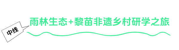 （海口→定安→屯昌→琼中→五指山→保亭→三亚）