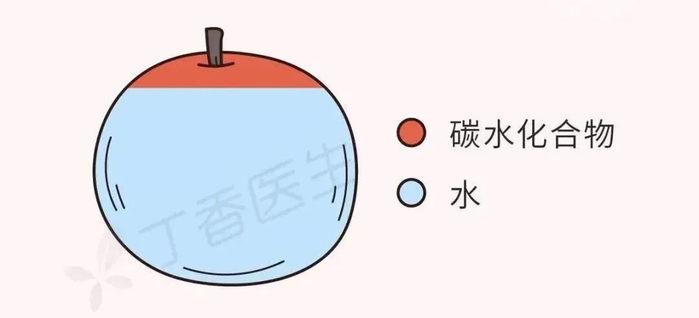 来源：丁香医生