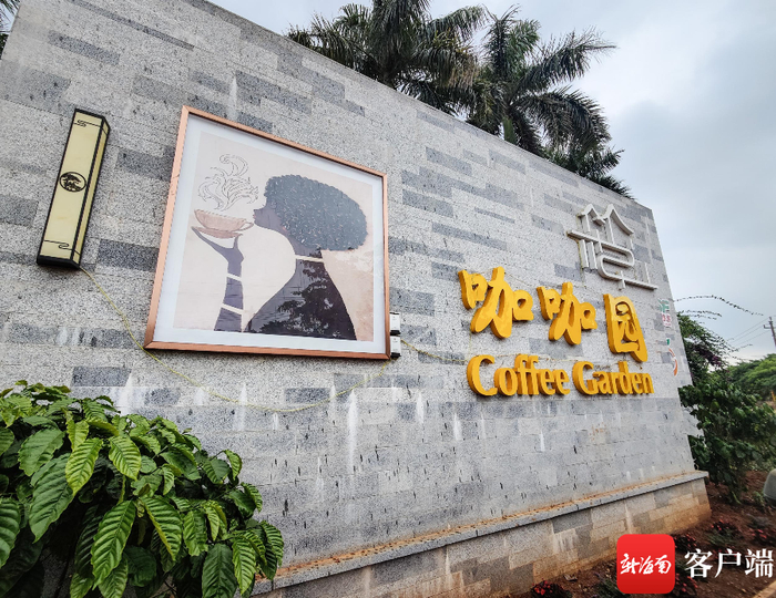 澄迈福山咖咖园。记者 姚皓 摄