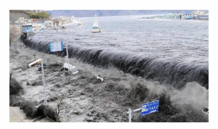 2011年3月11日日本大地震（新华社）