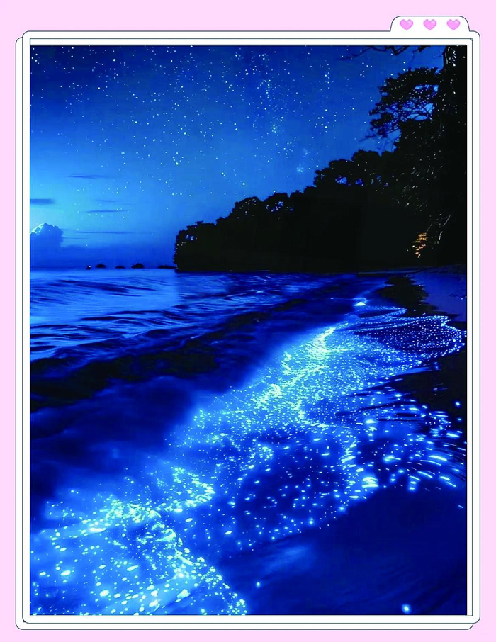     福建平潭岛    蓝眼泪奇观