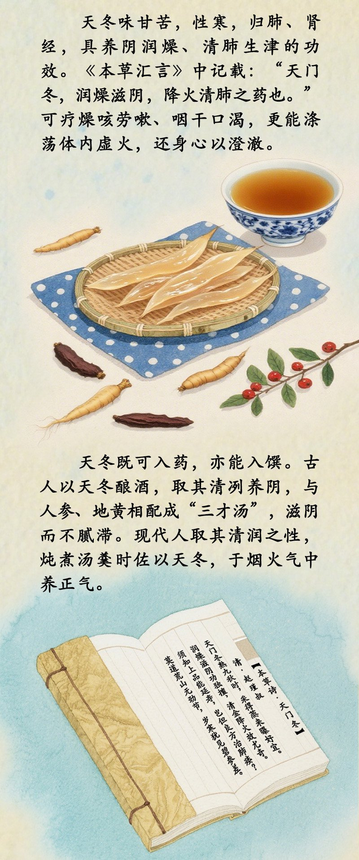 中药喻清廉丨天冬：润燥清心 守节如玉