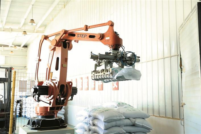     在新疆塔禾农业科技有限公司加工车间，一袋袋加工好的精品孜然被下线分装（摄于6月20日）。张大松  摄