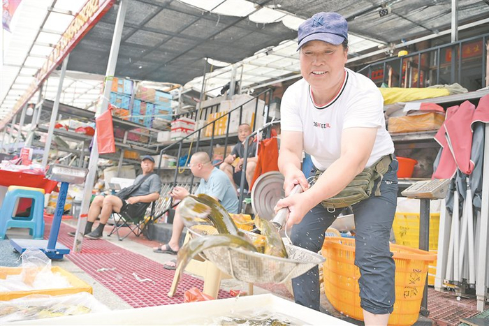     忙碌的鱼商。本报记者  张春雷摄