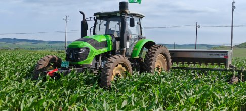 农户为玉米进行追肥作业。摄影 闫易驰