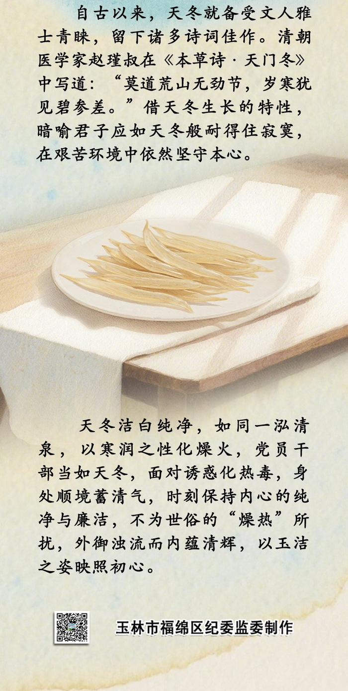 中药喻清廉丨天冬：润燥清心 守节如玉