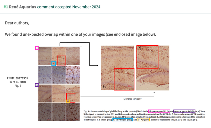 图b与图c中标红的部分相同 图源：PubPeer（下同） 