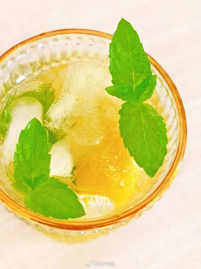 薄荷柠檬水 图源：钟艳平拍摄