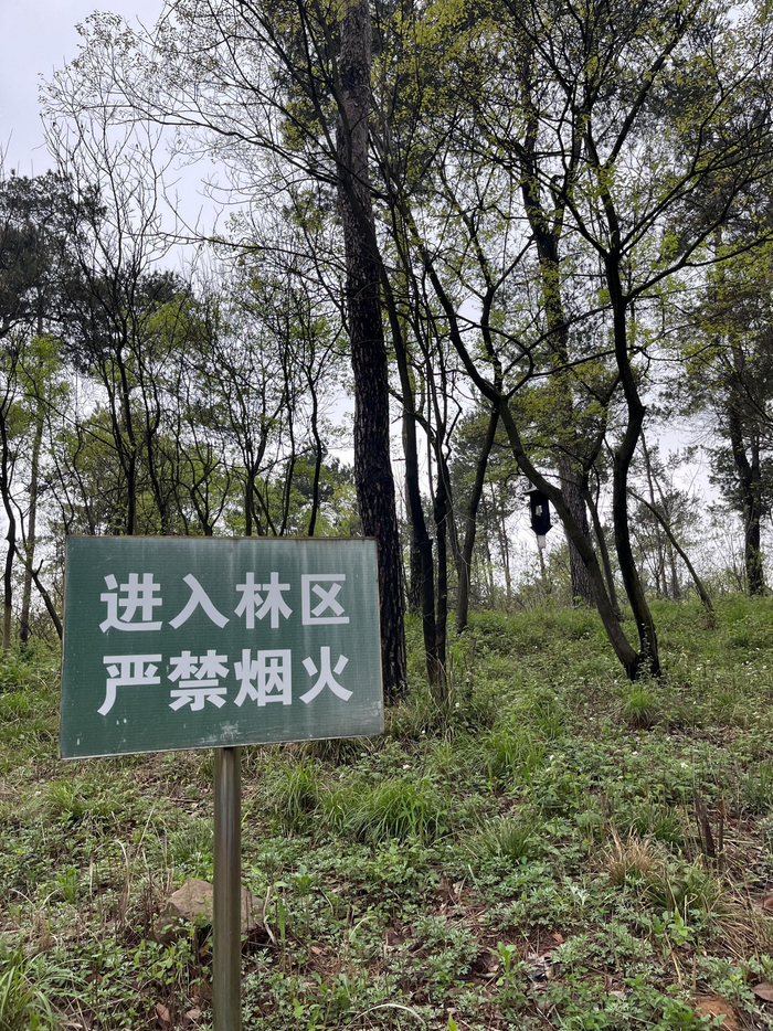 白羊山。资料图片