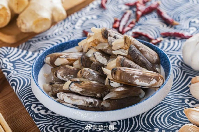 图库版权图片，转载使用可能引发版权纠纷