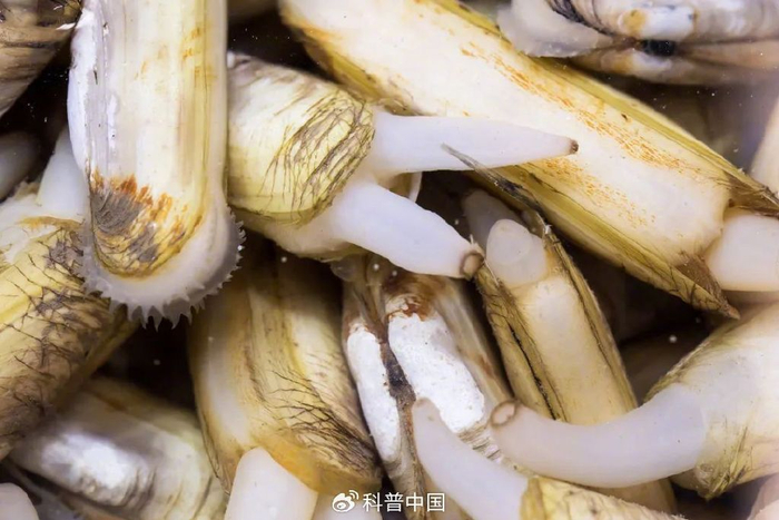 图库版权图片，转载使用可能引发版权纠纷