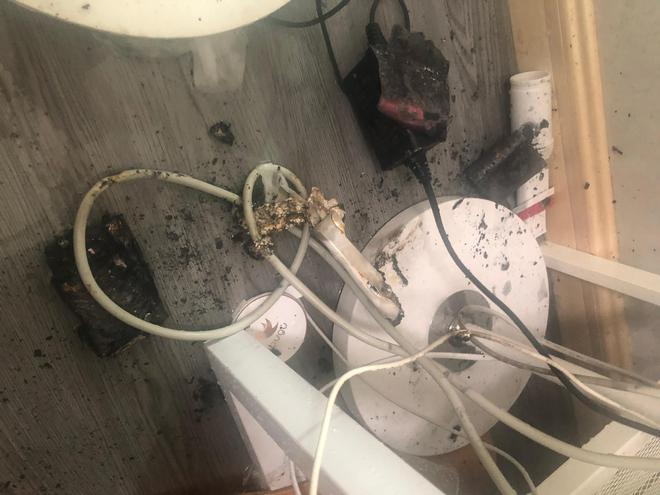 图源：知乎@沙拉是只猫