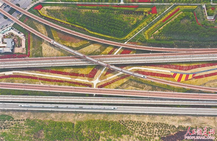 纵横交错的现代化路网。王玮 摄