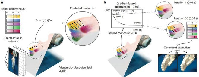 图 | 此次使用的系统（来源：Nature）