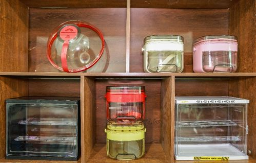 ▲张小杰研发的防溅盖、冰格等产品成为拼多多的热销品。（拍摄 金鹏）