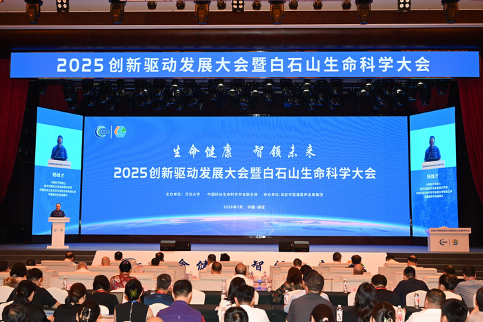 大会现场。 保定日报记者 曹云鹏 摄