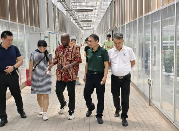 图为产学研代表在通州国际种业科技园区育种平台参观