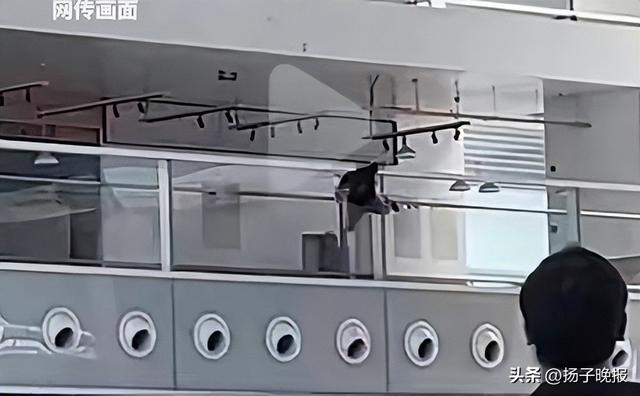 视频截图