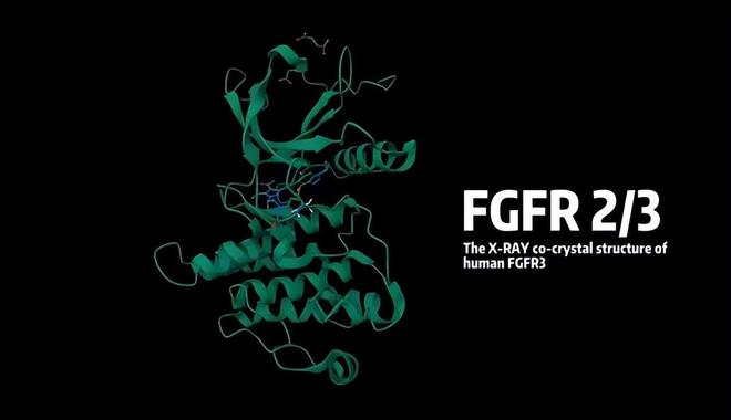 （来源：Insilico Medicine）