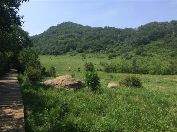 百花山草甸 图片来源：作者