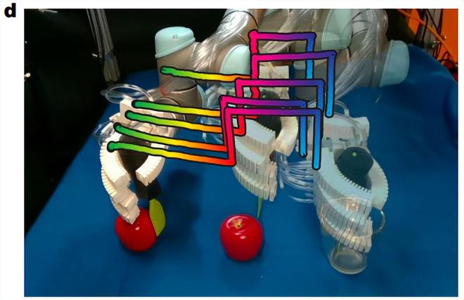 （来源：Nature）