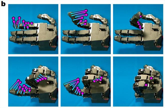 （来源：Nature）