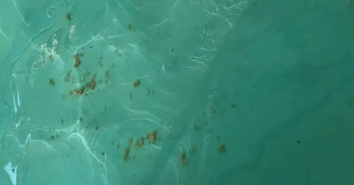 （图源：极目新闻）