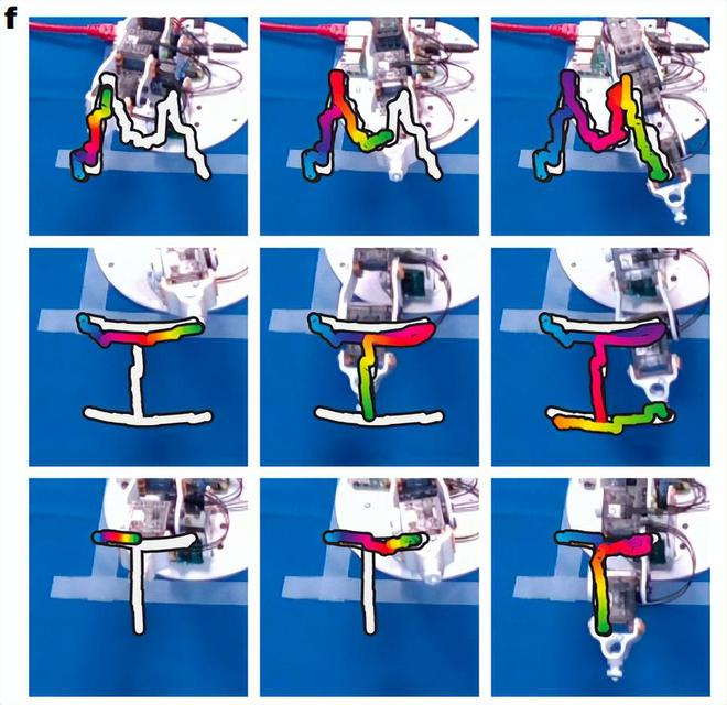 （来源：Nature）