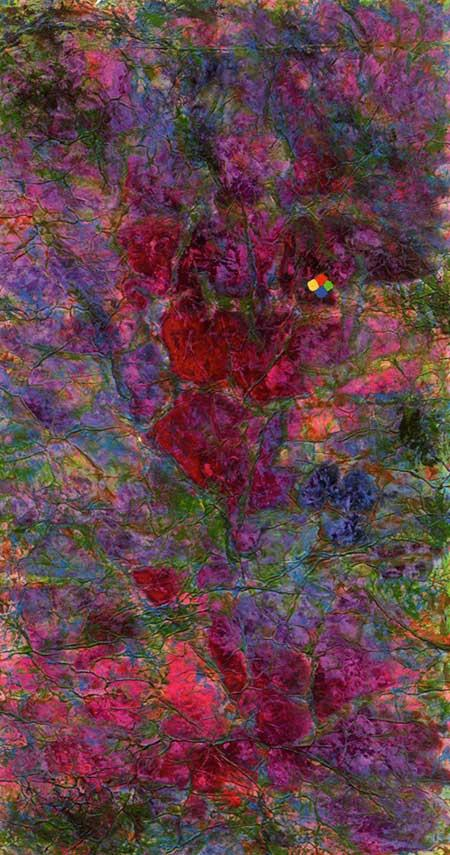 小暑二候·蟋蟀居壁 徐冬冬 绘