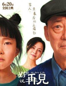 电影《好好说再见》海报