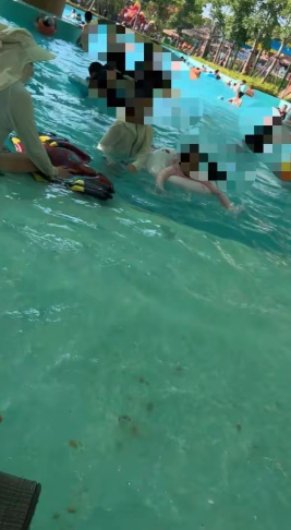 （图源：极目新闻）