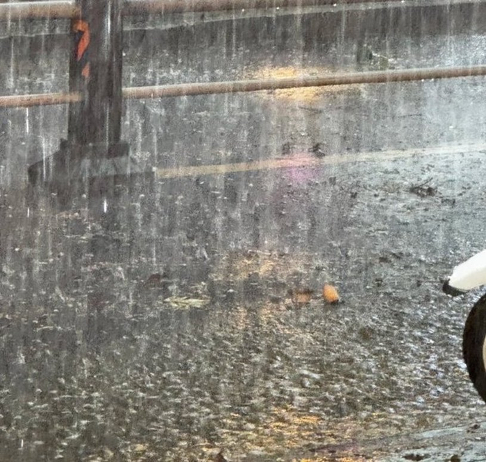 以上图片来源微博网友