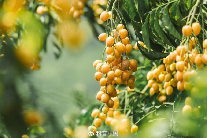 图库版权图片，转载使用可能引发版权纠纷