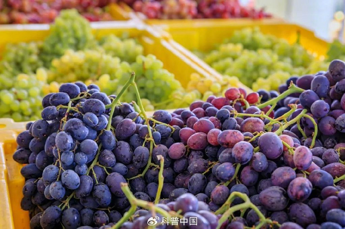 图库版权图片，转载使用可能引发版权纠纷